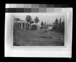Item 0276. View of lawn or garden with trees, shrubs and part of low building (house, hotel?) in background.
