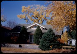 A western Kansas spreading poplar above house at 1607 Central Ave. Dodge City Kans.