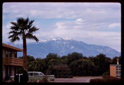from Indio Hacienda view westward toward Mt. San Jacinto on New Year's Day 1962