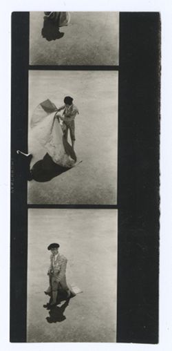 Item 0112.  All long shots taken from above, showing Liceaga in the bull ring making passes with his cape. 2 ½ prints.