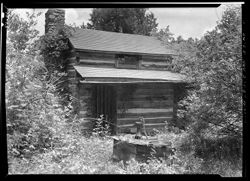 Bates Johnson cabin back of the Selmier place
