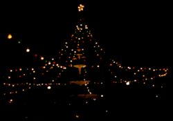 Christmas lights in Mobil, Ala. Park