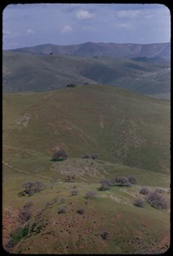View N & E from summit of Pacheco Pass