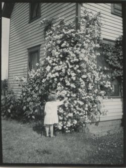 Unidentified young girl standing by plant