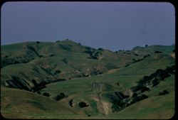 Green gullied hills NE of and above Peach tree Road north of Hwy Cal 198 Monterey county