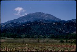 Mount St. Helenda from Cal. Hwy 29 - four miles south of Calistoga EK CL