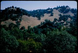 Mendocino mountain country along road form Ukiah to Boonville  Clnd & RM by SK