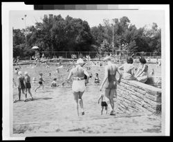 Crowd in pool at Brown County State Park