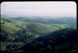 Green hills of Contra Costa county California from Mount Diablo road.