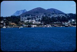 Morro Bay and town seen from Morro Rock