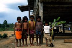 Children