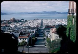The Marina and North Bay seen from Pacific Heights at Broadway and Broderick San Francisco Cushman