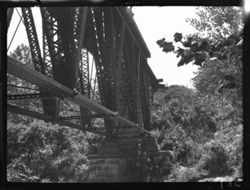 Bridge, Danville trip