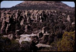 View from Massai Pt. (6871 ft.) down into canyon Chiricahua