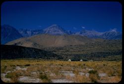 from Owens valley 5 mi. south of Big Pine view west toward Sierra Nevada