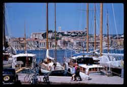 Yacht harbor Cannes