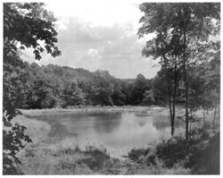Lake from entrance of Jim Ray cave in Greene County