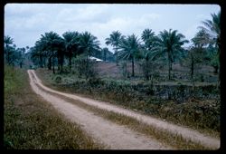 Road to Kpombu School