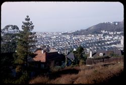 San Francisco - Sea of houses north-west of St. Francis Wood.