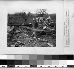 Remains of chimney, Lee Brown home
