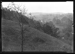 View from open space on Greiner hill, Clay