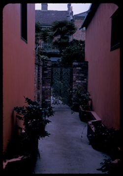 Pink walls of courtyard entrance 915 Chartres New Orleans