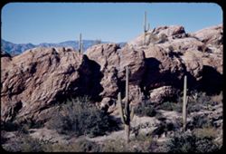 A mass of rock above exhibits 22 - 28 = scenic drive in Sahuaro Nat'l Monument.