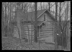 "Questorer," a Brown Co. cabin