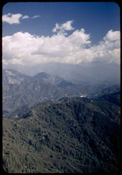 NE from Mt. Wilson across a pine covered mountain toward cloud-capped high San Gabriels