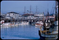 Fishing boats at docks in San Francisco's Fisherman's Wharf