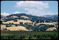View east from Asti, Sonoma county
