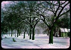 Snow covers Jackson Park