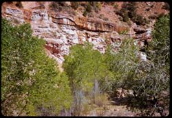Striped rock wall of Virgin river canyon Zion Nat'l Park