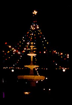 Christmas lights in Mobile, Ala. Park