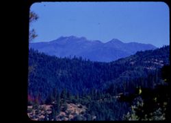 View north toward high ridge of Trinity Mtns. From US Hwy 299 above Trinity river - east of Douglas City