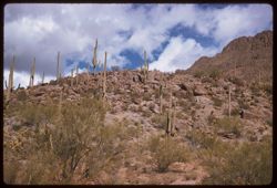 One of the Tucson mountains