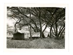Camp near Mt. Kenya