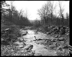 Jackson Branch stream, rocks at side