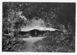 Man standing under a broad thatch roof