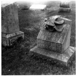Fallen Dove Clear Creek Cemetery 3 mi s. Bloomington 1/2 mi W.