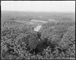 Views in state park (orig. neg.)