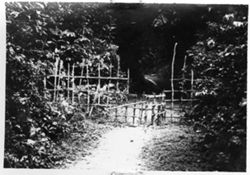 Forest path with gate