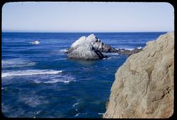 Seal Rocks. San Francisco.