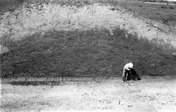 Nowlin Mound Excavation