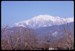 Mt. San Bernardino from Calimesa in afternoon