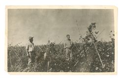 Two men in a field