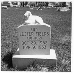 Lamb - Lester Fields