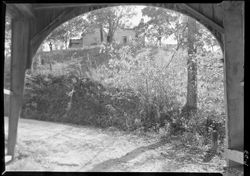 Hoh006.006.0033.tif