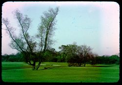 Flossmoor golf course Old willow 85.2 Fahr!