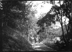 Shade Smith and wagon, Edinburg road